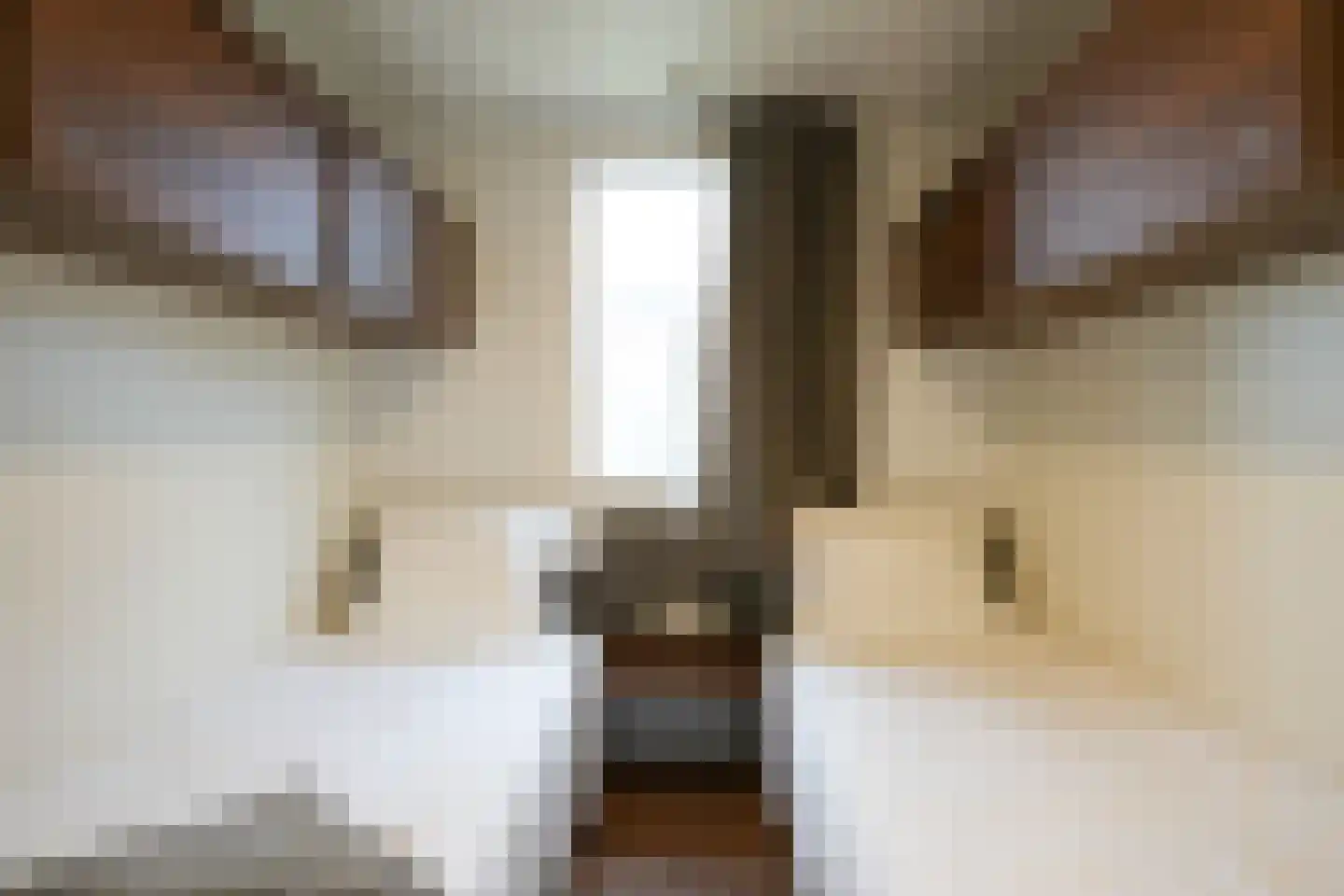 Berghem 1 D271 Gulpen thumbnail 10