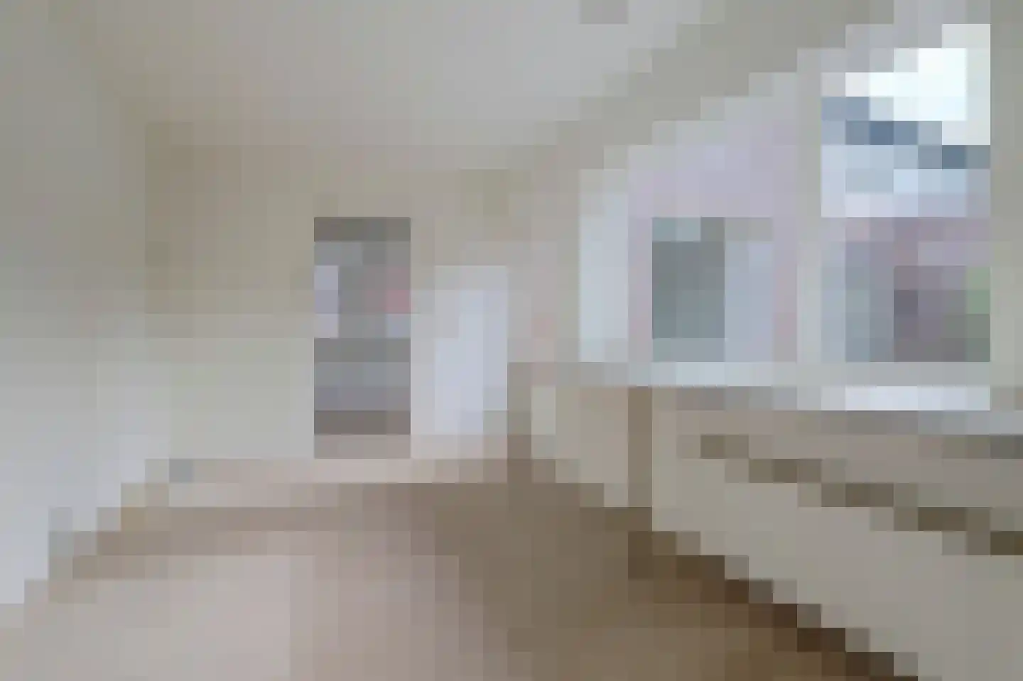 Berghemseweg 117 Oss thumbnail 13