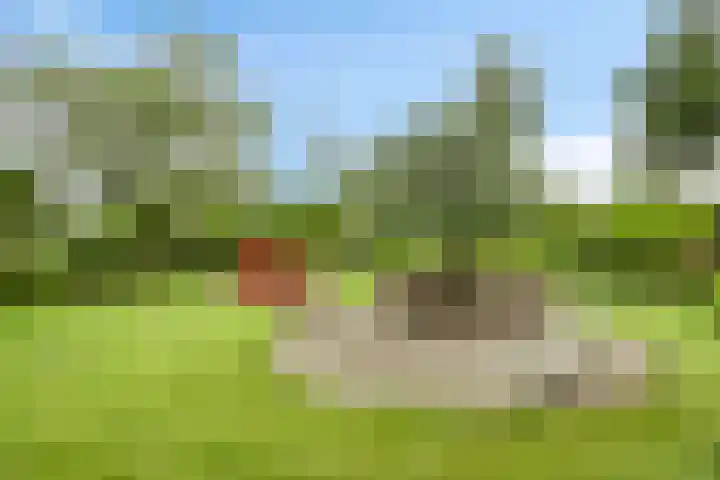 Berghemseweg 12 Haren thumbnail 43