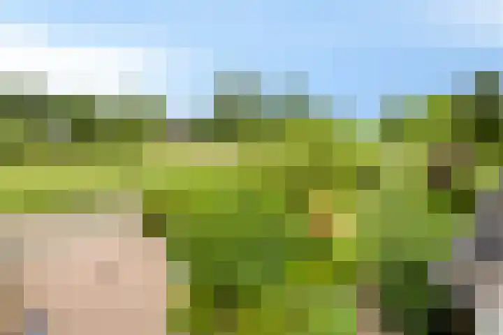 Berghemseweg 12 Haren thumbnail 48