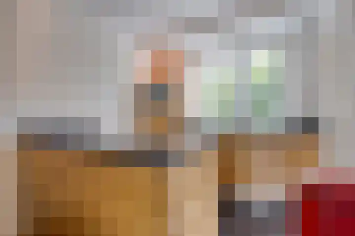 Berghemseweg 12 Haren thumbnail 8