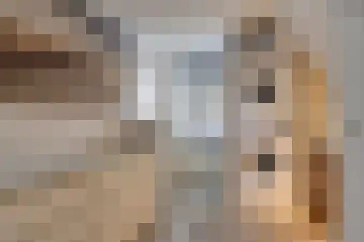 Berghemseweg 124 Oss thumbnail 14