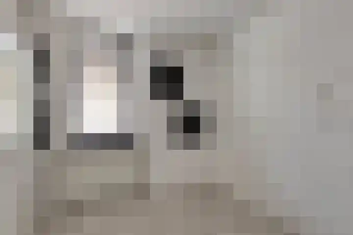 Berghemseweg 124 Oss thumbnail 16