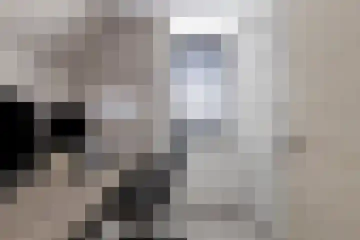Berghemseweg 124 Oss thumbnail 17