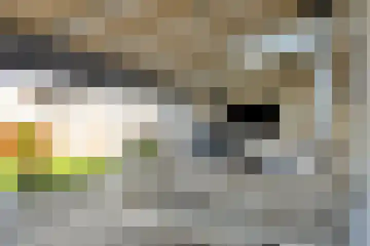 Berghemseweg 124 Oss thumbnail 19