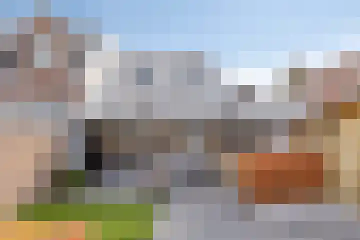 Berghemseweg 124 Oss thumbnail 20