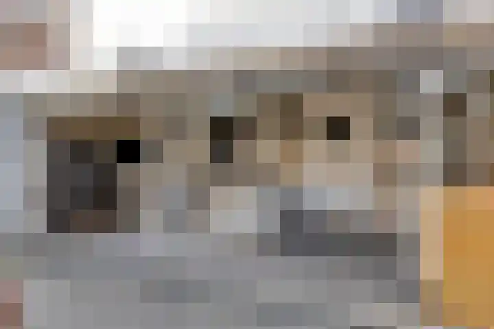 Berghemseweg 124 Oss thumbnail 22