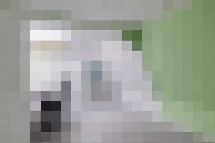 Berghemseweg 124 Oss thumbnail 31
