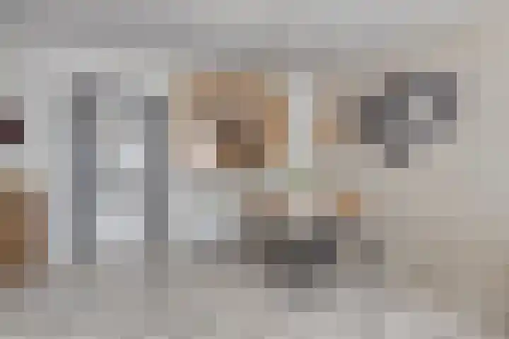 Berghemseweg 124 Oss thumbnail 4