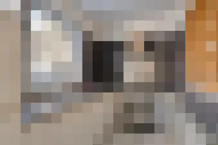 Berghemseweg 124 Oss thumbnail 6