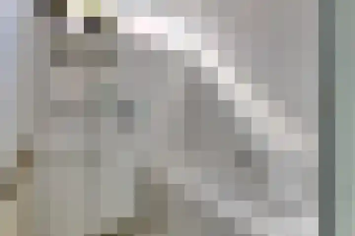 Berghemseweg 124 Oss thumbnail 9