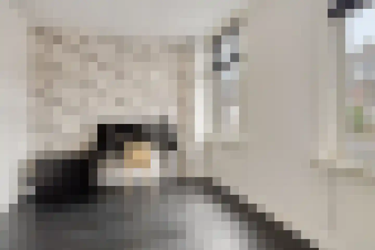 Berghemseweg 131 Oss thumbnail 14