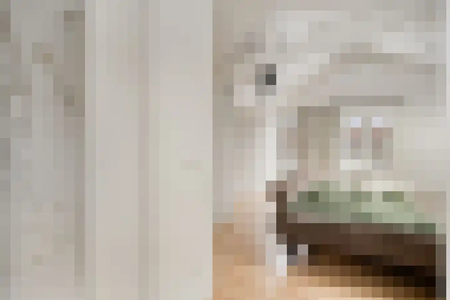 Berghemseweg 131 Oss thumbnail 21