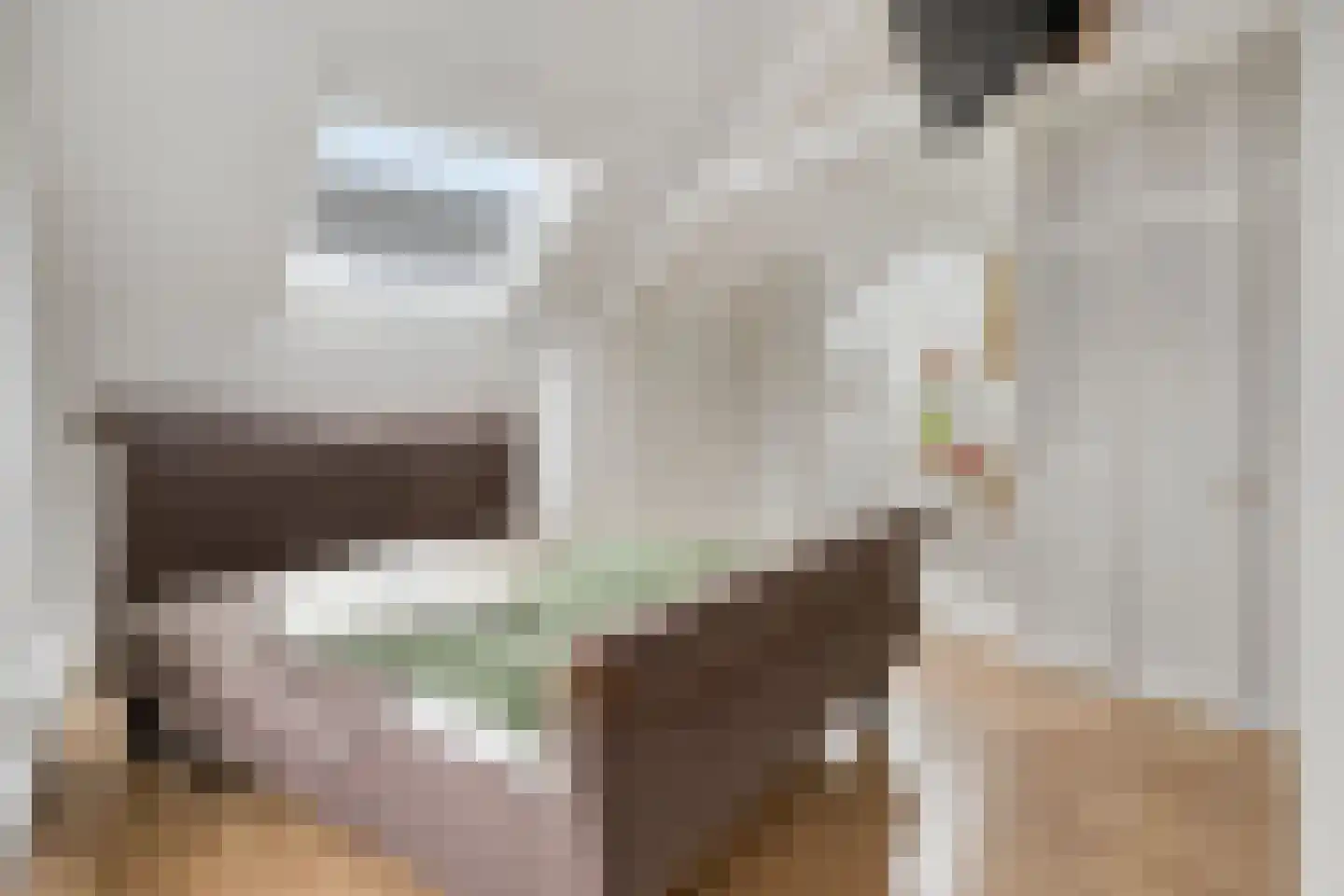 Berghemseweg 131 Oss thumbnail 22