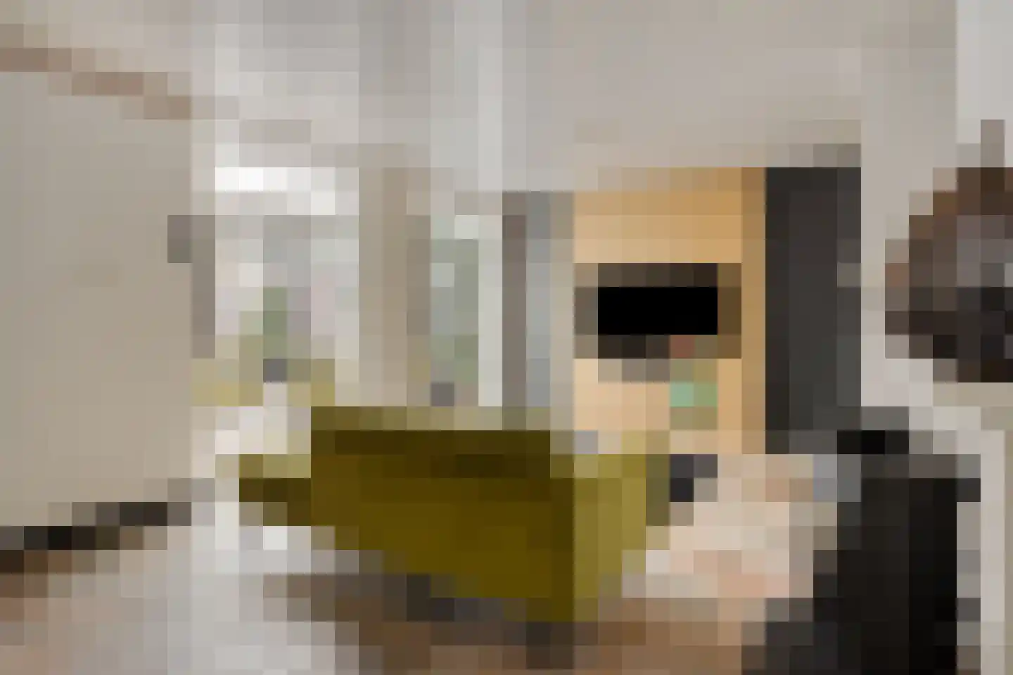 Berghemseweg 131 Oss thumbnail 5