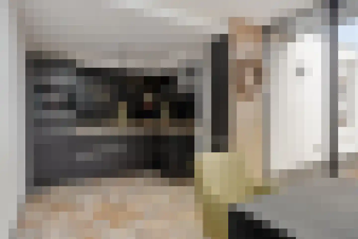 Berghemseweg 131 Oss thumbnail 9