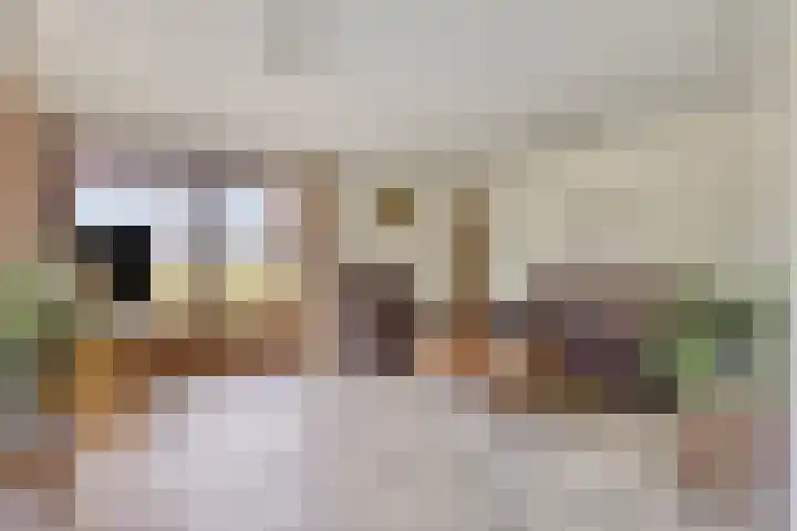 Berghemseweg 16 Herpen thumbnail 15