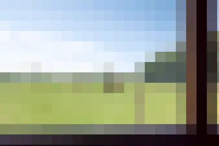 Berghemseweg 16 Herpen thumbnail 16
