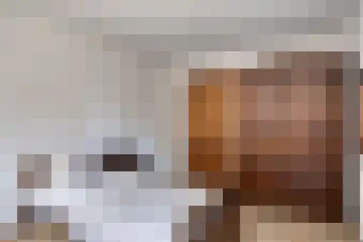 Berghemseweg 16 Herpen thumbnail 27