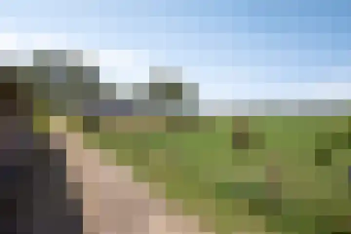 Berghemseweg 16 Herpen thumbnail 38