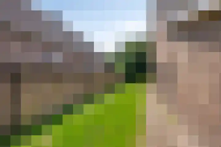 Berghemseweg 16 Herpen thumbnail 39