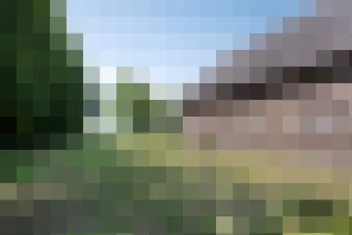Berghemseweg 16 Herpen thumbnail 41