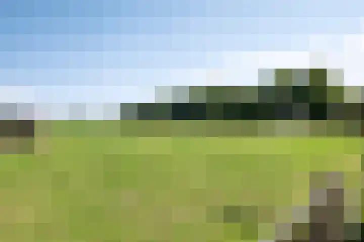 Berghemseweg 16 Herpen thumbnail 42