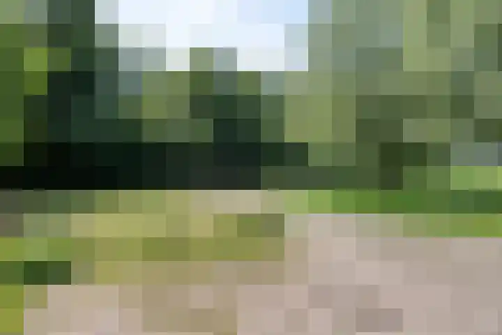 Berghemseweg 16 Herpen thumbnail 44