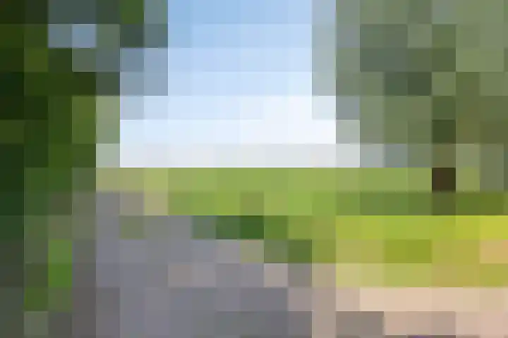 Berghemseweg 16 Herpen thumbnail 45