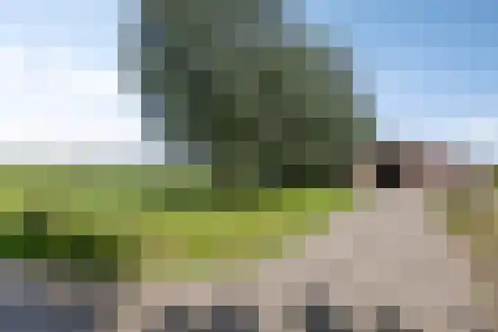 Berghemseweg 16 Herpen thumbnail 46