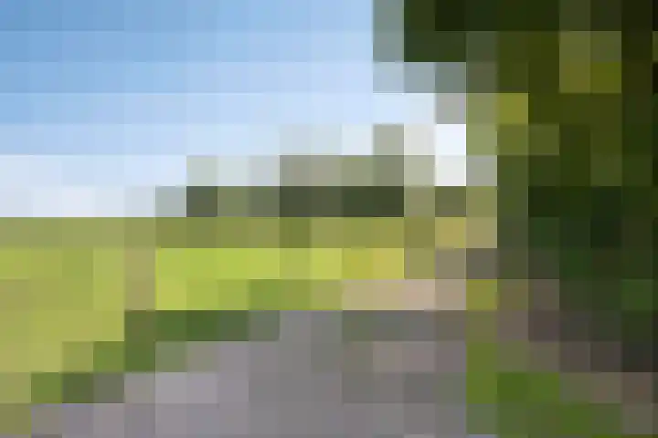 Berghemseweg 16 Herpen thumbnail 47