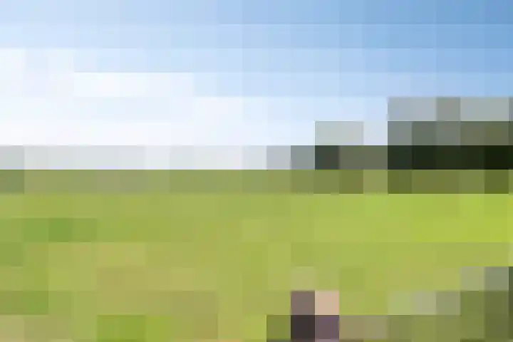 Berghemseweg 16 Herpen thumbnail 48