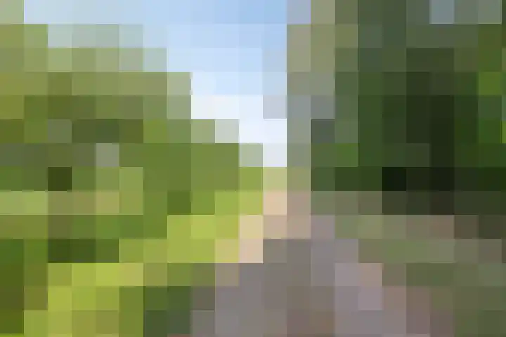 Berghemseweg 16 Herpen thumbnail 49