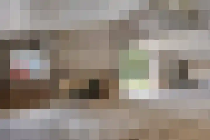 Berghemseweg 16 Herpen thumbnail 51