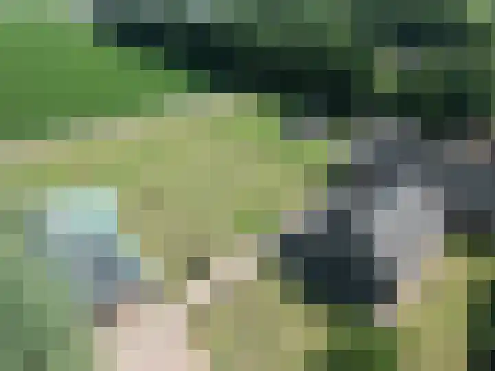 Berghemseweg 16 Herpen thumbnail 56