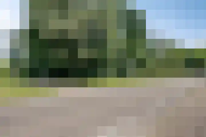 Berghemseweg 16 Herpen thumbnail 59