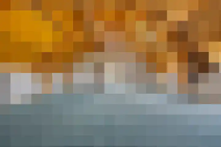 Berghemseweg 16 Herpen thumbnail 6