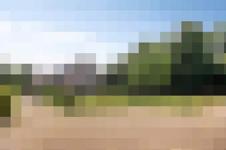 Berghemseweg 16 Herpen thumbnail 9