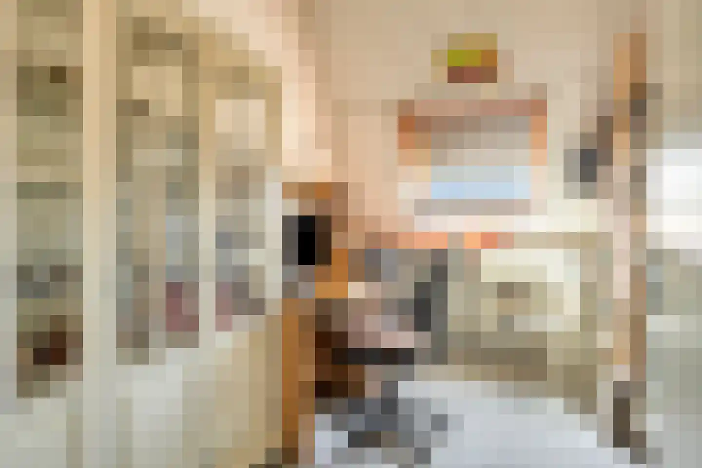 Berghemseweg 176 Oss thumbnail 14