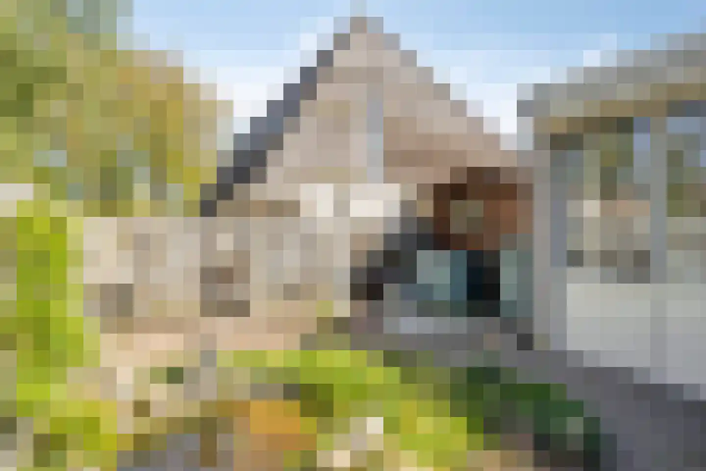 Berghemseweg 176 Oss thumbnail 18