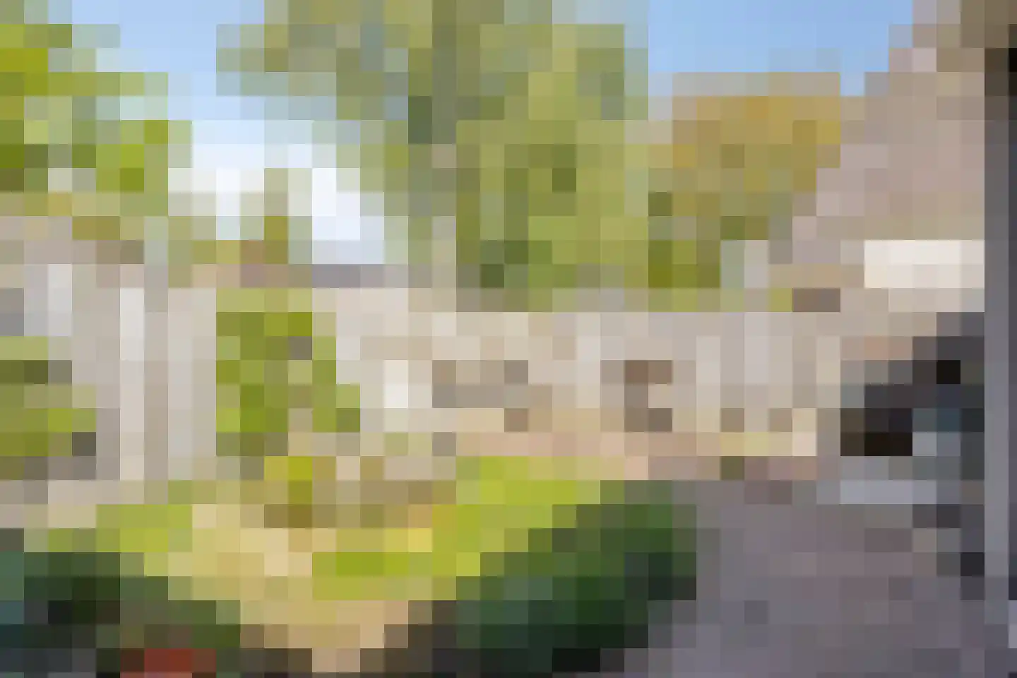 Berghemseweg 176 Oss thumbnail 19