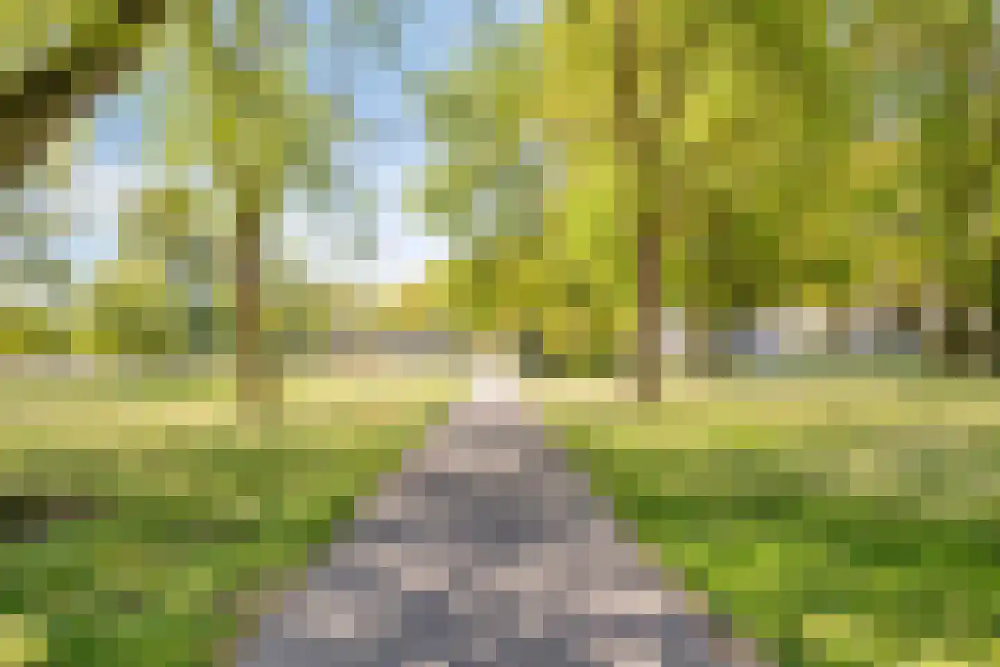 Berghemseweg 176 Oss thumbnail 23
