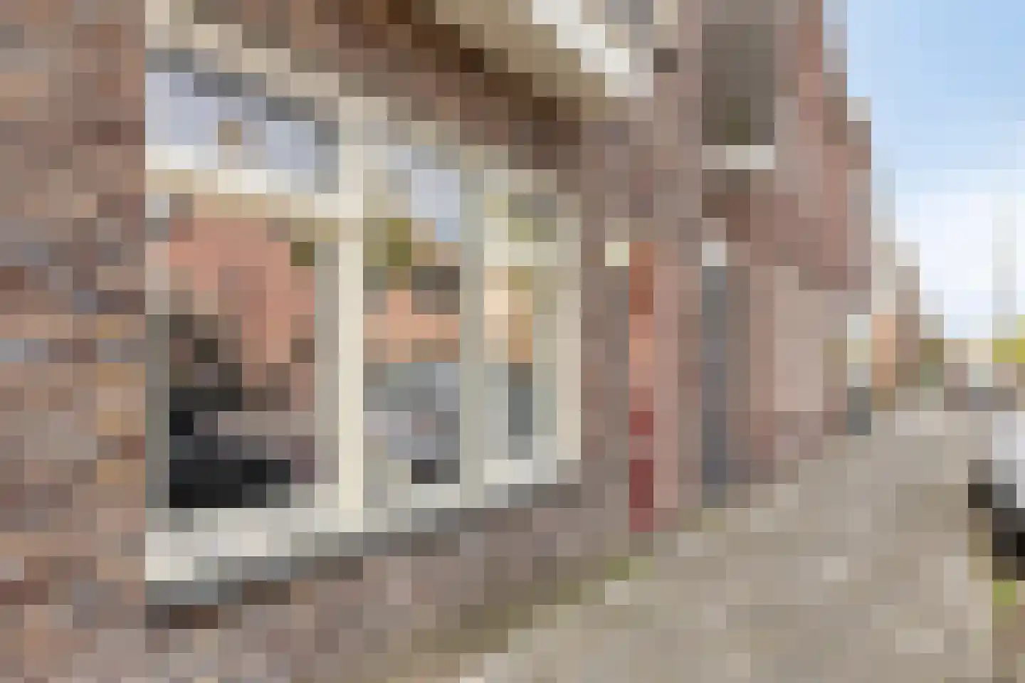 Berghemseweg 179 Oss thumbnail 7