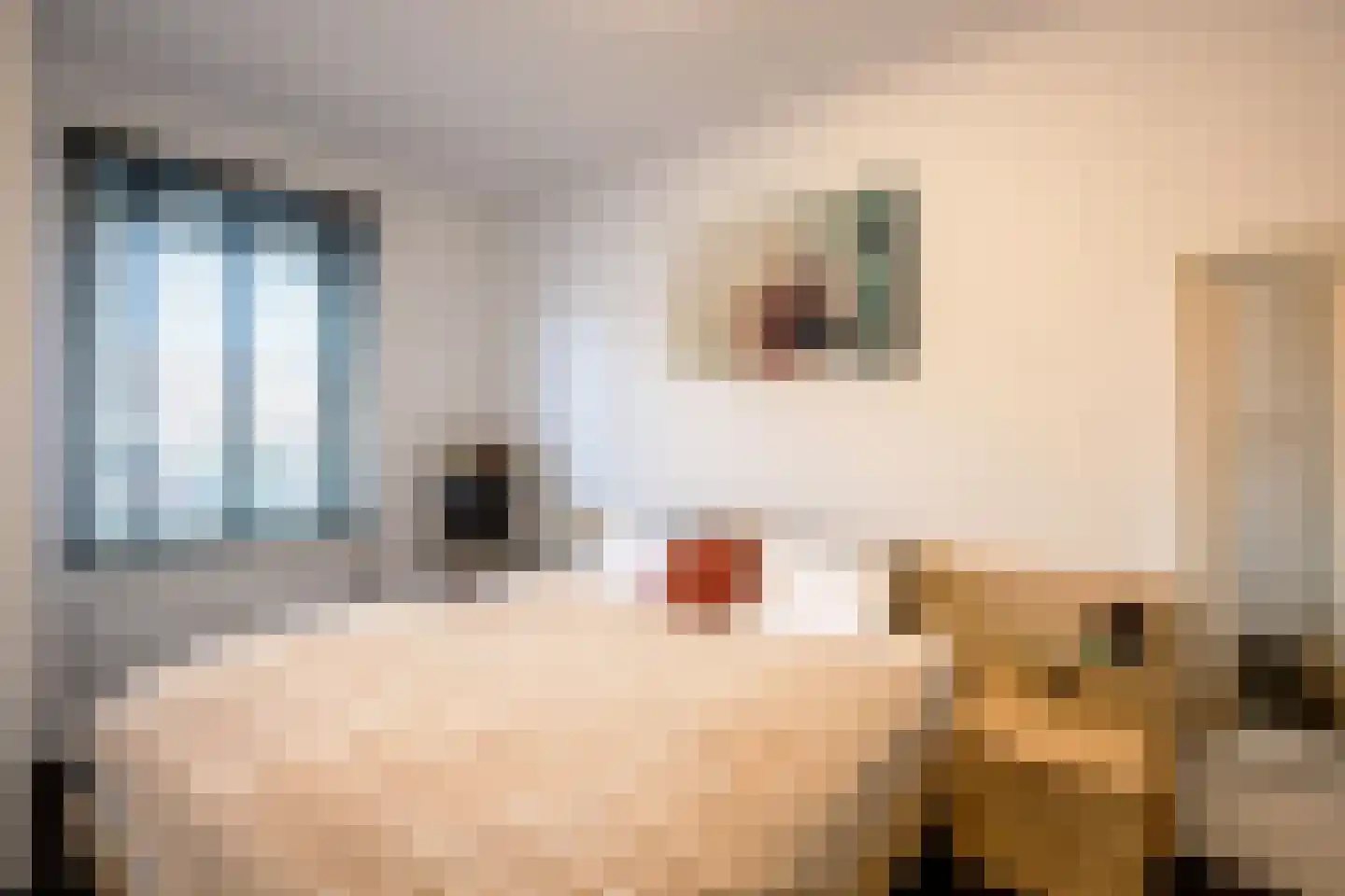 Berghemseweg 181 F Oss thumbnail 14