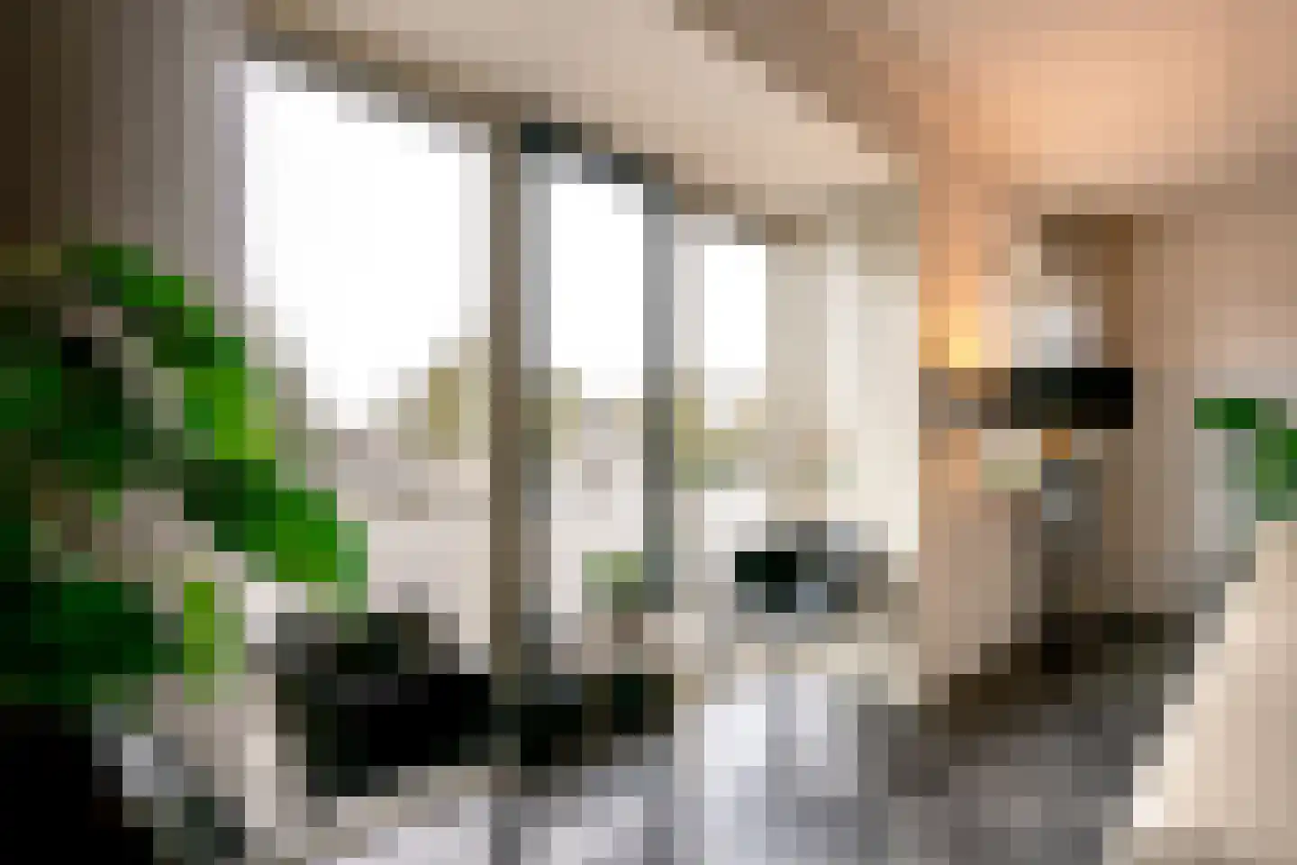 Berghemseweg 181 F Oss thumbnail 9