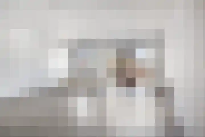 Berghemseweg 181 Oss thumbnail 11