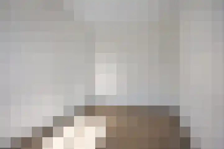 Berghemseweg 181 Oss thumbnail 20