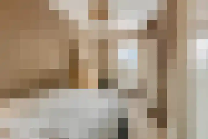Berghemseweg 183 D Oss thumbnail 9