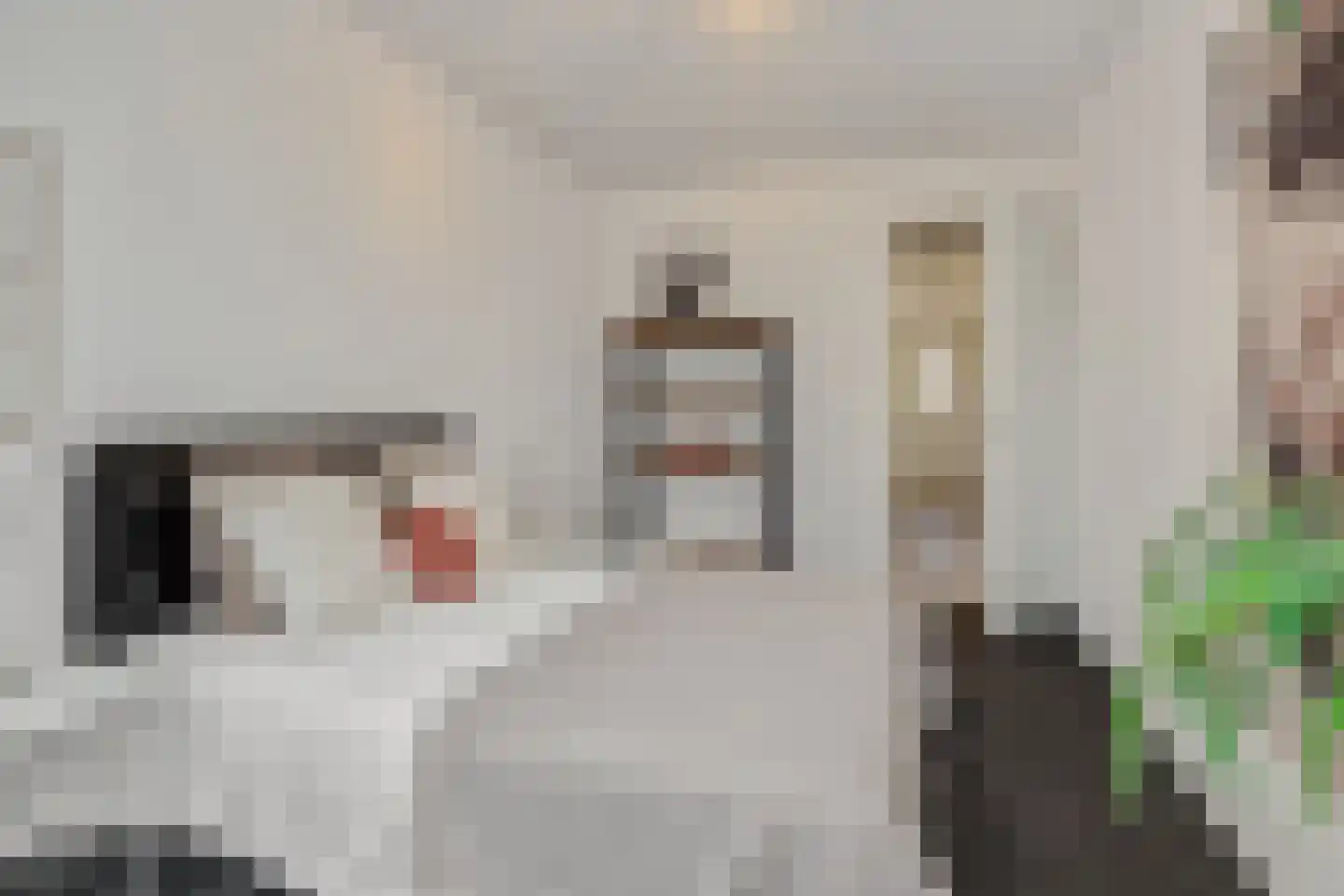 Berghemseweg 183 Oss thumbnail 32