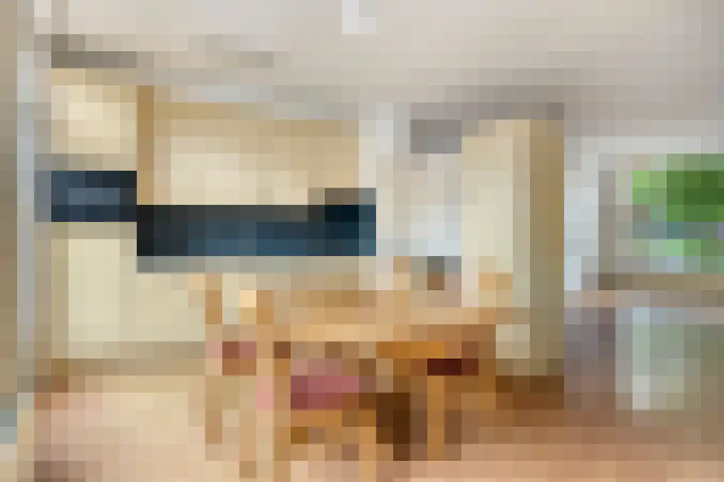 Berghemseweg 220 Oss thumbnail 10